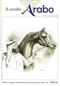 Arc Black Sheikh